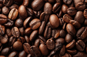 Fresh premium coffee beans